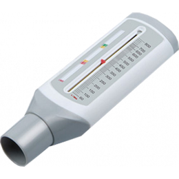 Débitmètre spiromètre Rossmax Peak Flow